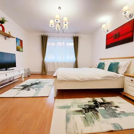 Casa Dusa - Apartament Crisstina Daire Braşov Dış mekan fotoğraf