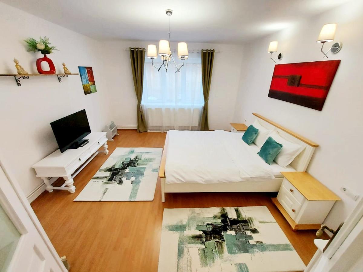 Casa Dusa - Apartament Crisstina Daire Braşov Dış mekan fotoğraf